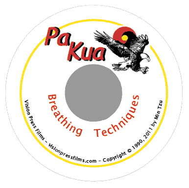 Image of Pa Kua DVD